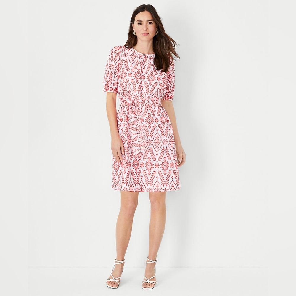 NWT Ann Taylor eyelet belted shift dress M